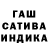 Конопля сатива Jorge Amezquita