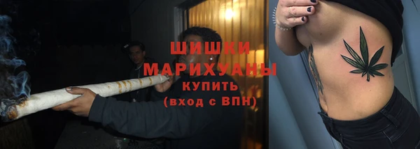 гидра Белоозёрский