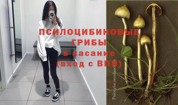 гидра Белоозёрский